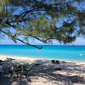 Meet your Posher, Bailey